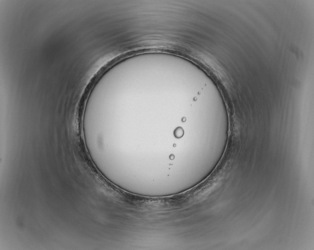 X0000108480883200904171608
