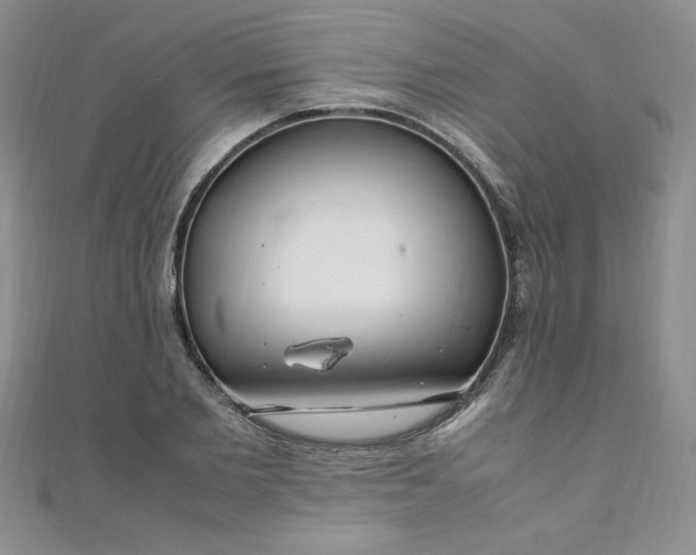 X0000108480885200904171608