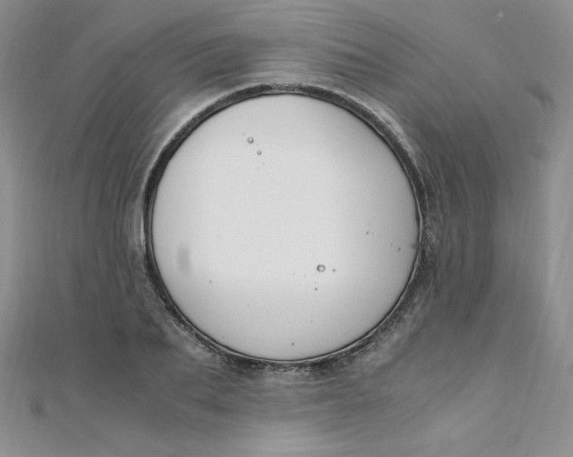 X0000108480887200904171608