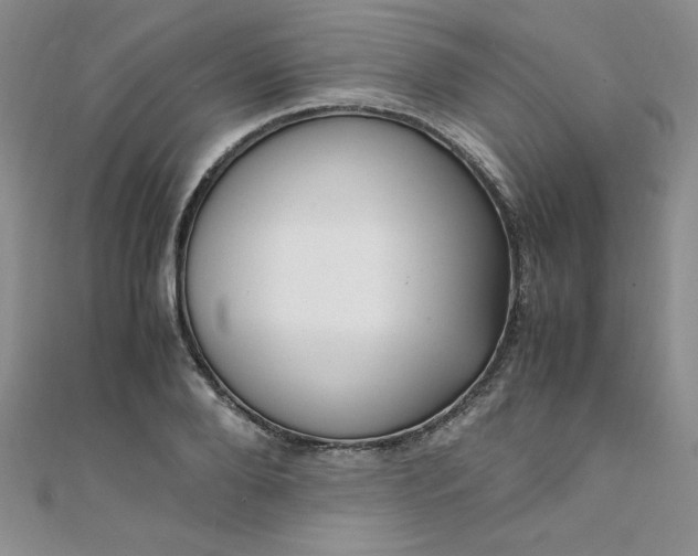 X0000108480888200904171608