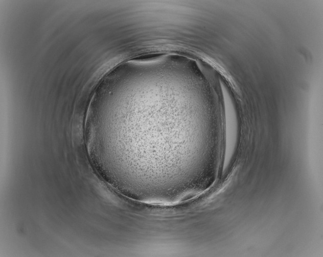 X0000108480889200904171608
