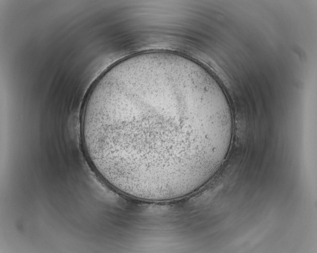 X0000108480890200904171608