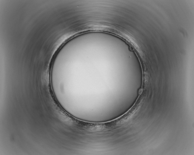 X0000108480891200904171608