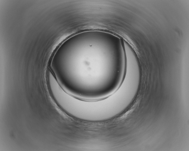 X0000108480893200904171608