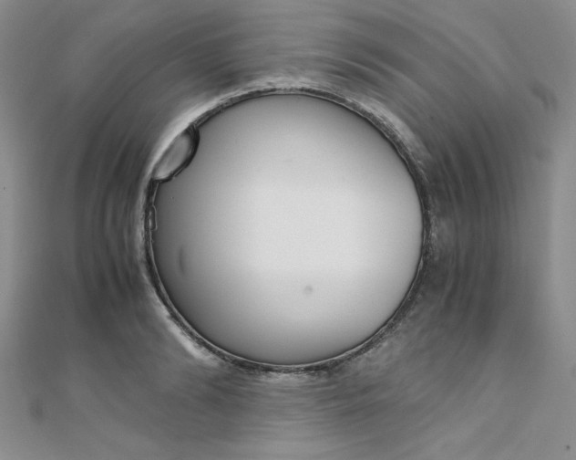 X0000108480894200904171608