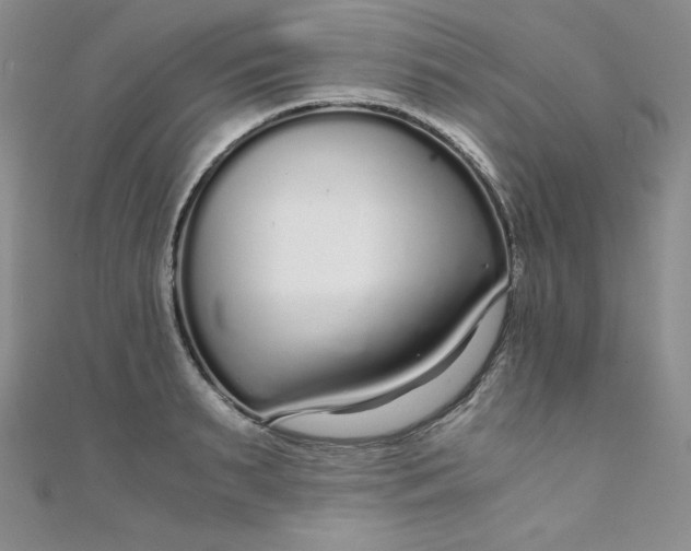 X0000108480895200904171608