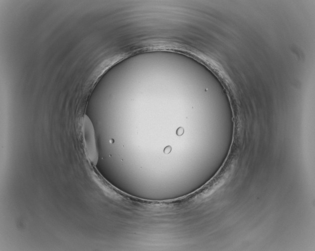 X0000108480897200904171608