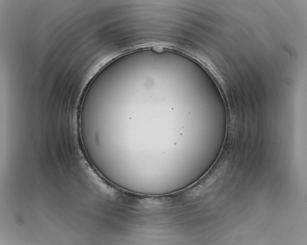 X0000108480898200904171608