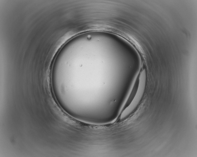 X0000108480899200904171608