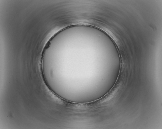 X0000108480901200904171608