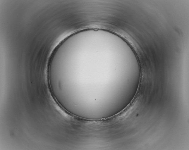X0000108480902200904171608