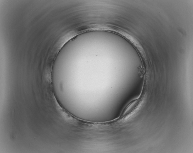 X0000108480905200904171608