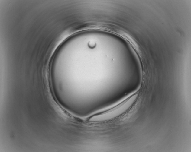 X0000108480907200904171608