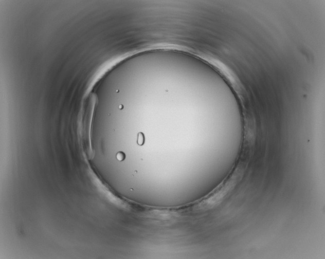 X0000108480910200904171608