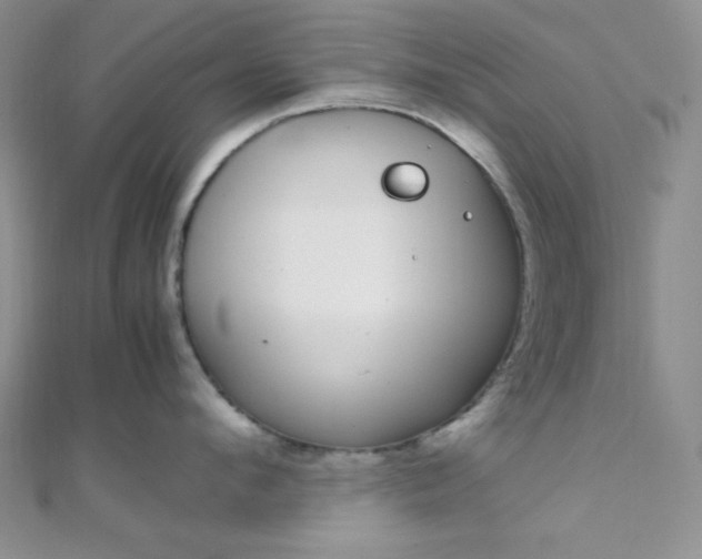 X0000108480912200904171608