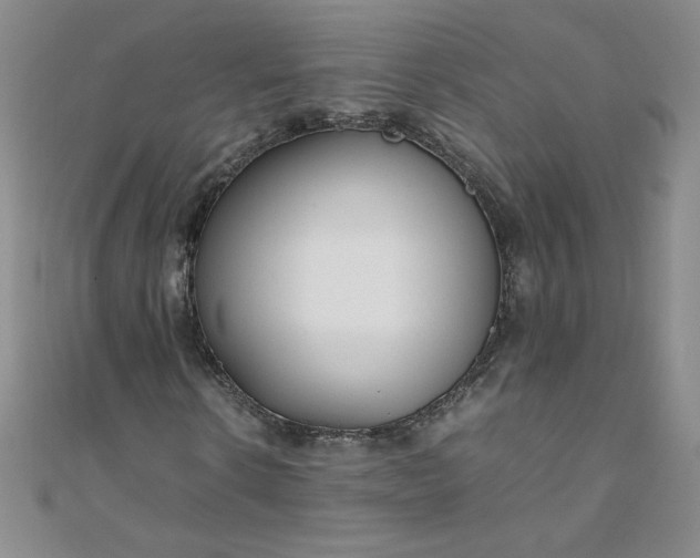 X0000108480914200904171607