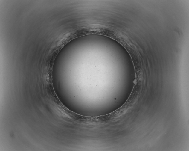 X0000108480916200904171607