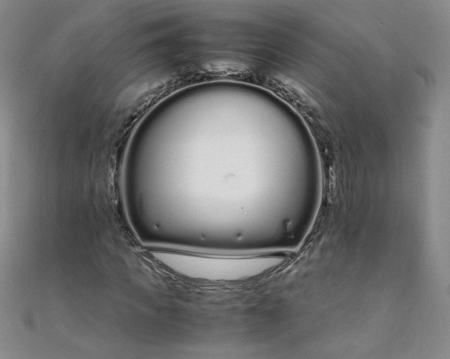 X0000108480917200904171607