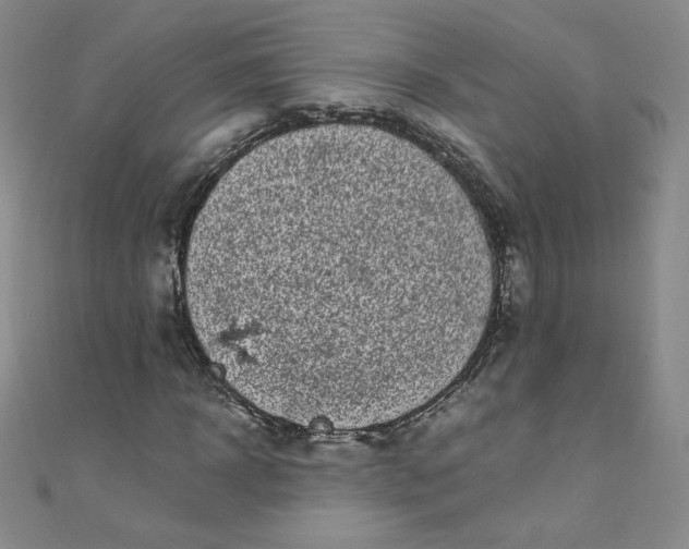 X0000108480918200904171607