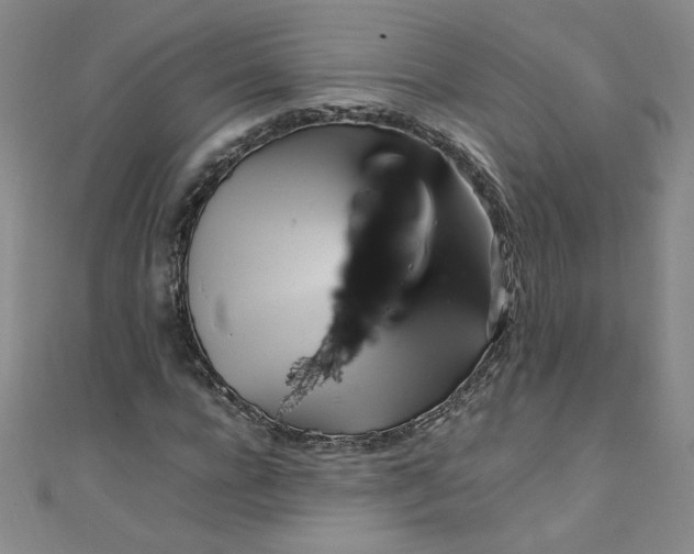 X0000108480920200904171607