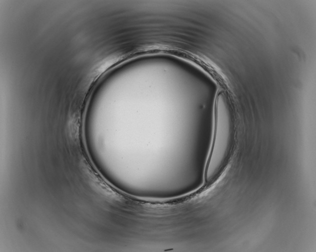 X0000108480921200904171607