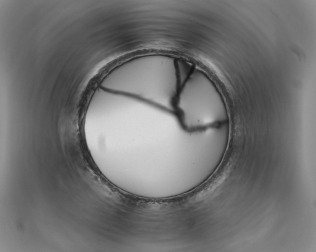 X0000108480923200904171607