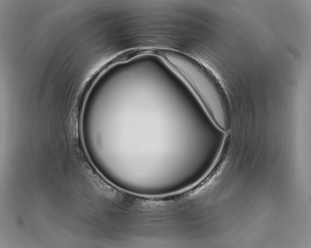 X0000108480925200904171607
