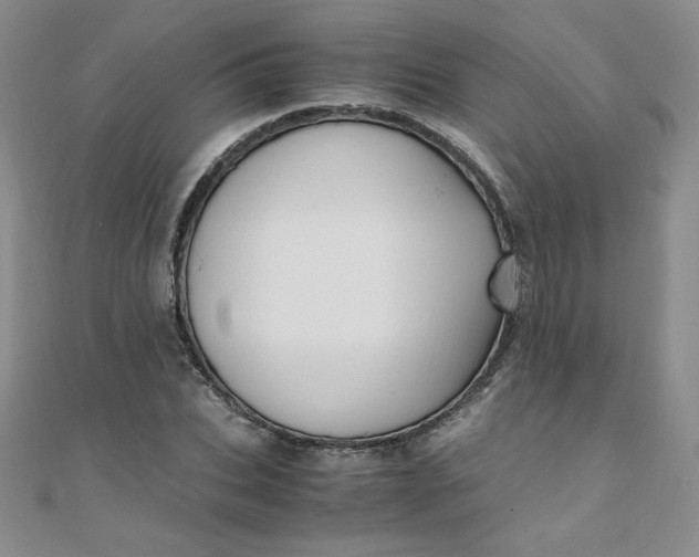 X0000108480927200904171608
