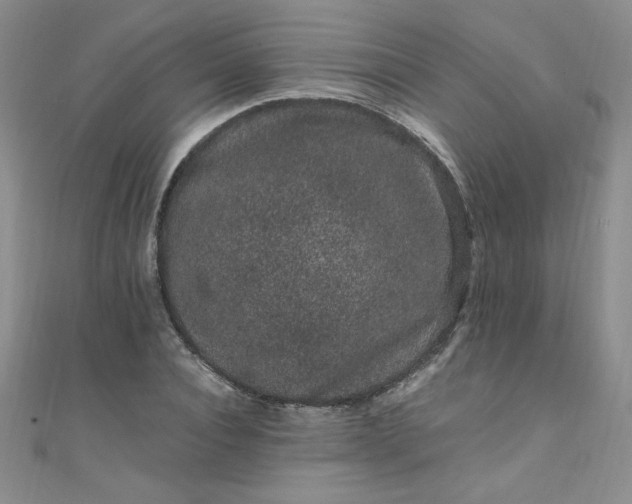X0000108480928200904171608