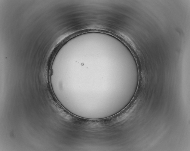 X0000108480931200904171608