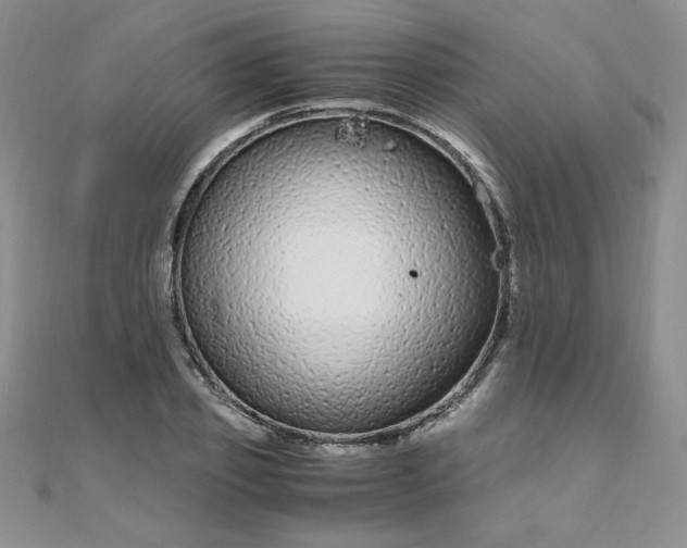 X0000108480933200904171608