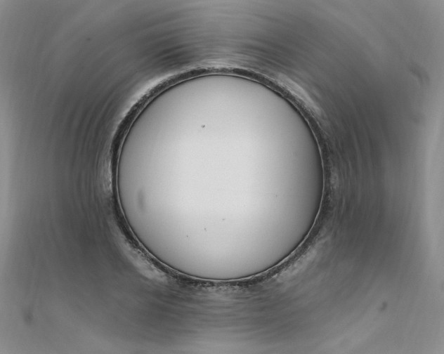 X0000108480934200904171608