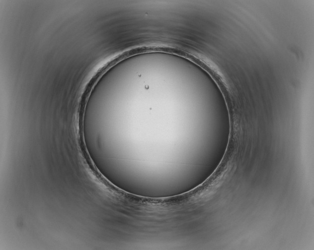 X0000108480935200904171608