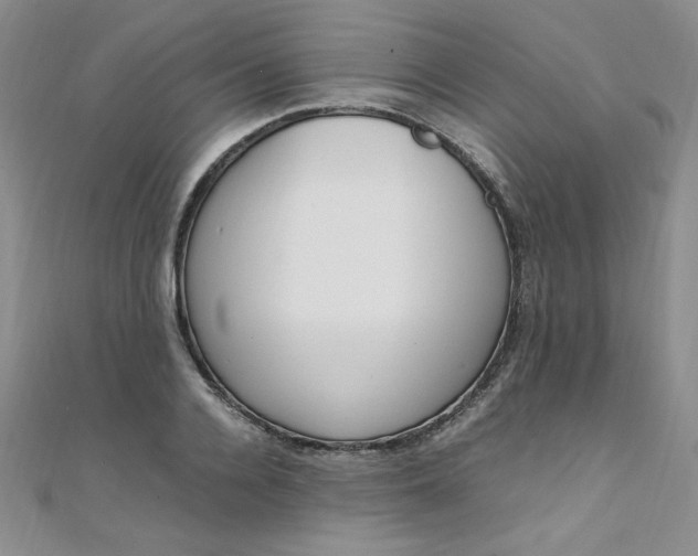 X0000108480936200904171608