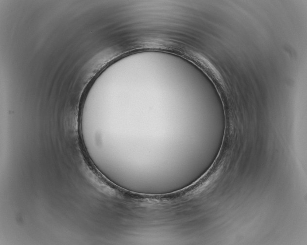X0000108480938200904171608