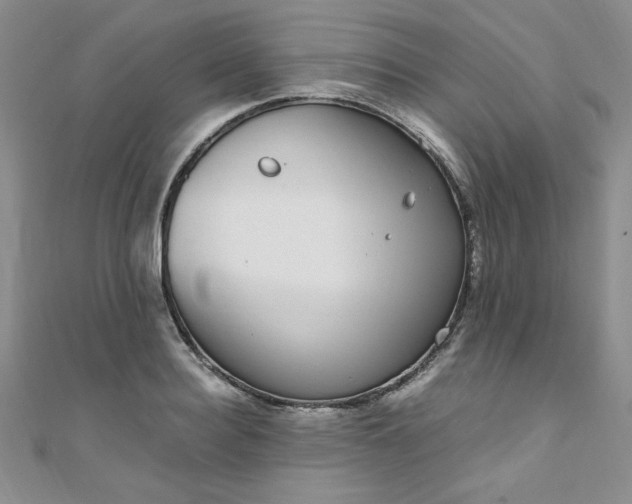 X0000108480940200904171608