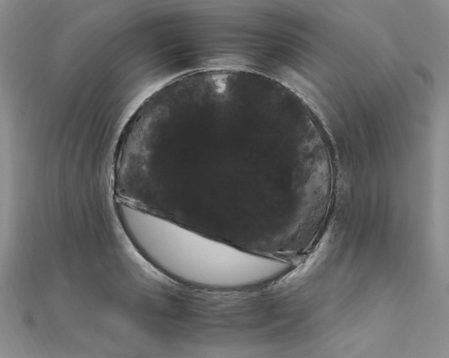 X0000108480941200904171608