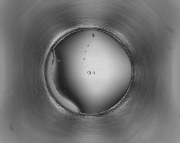 X0000108480942200904171608