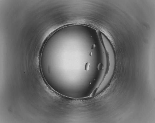 X0000108480944200904171608