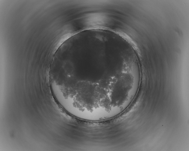 X0000108480945200904171608