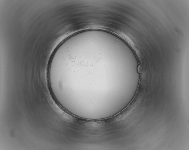 X0000108480947200904171608