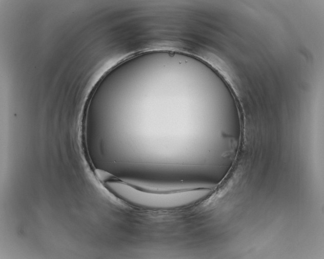 X0000108480949200904171608