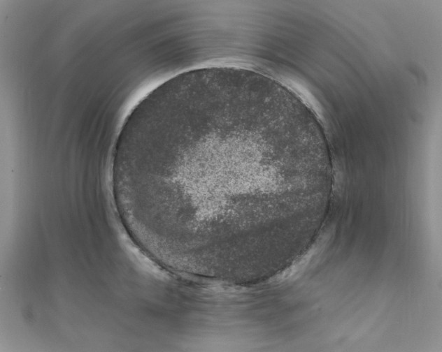 X0000108480952200904171608