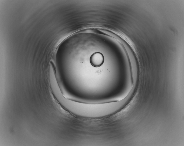 X0000108480953200904171608