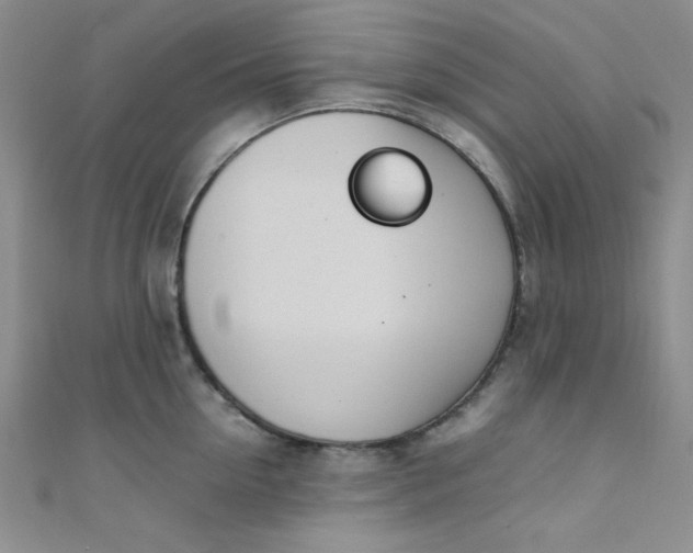 X0000108480954200904171608