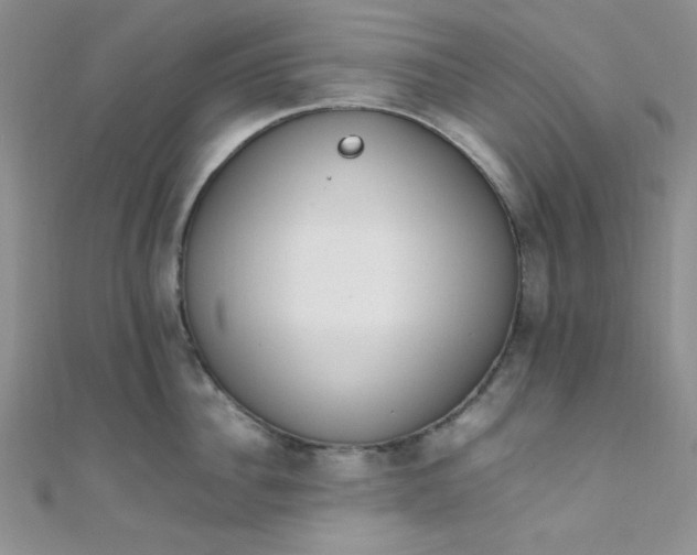 X0000108480956200904171608