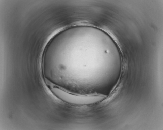 X0000108480957200904171608