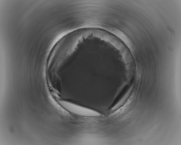 X0000108480958200904171608
