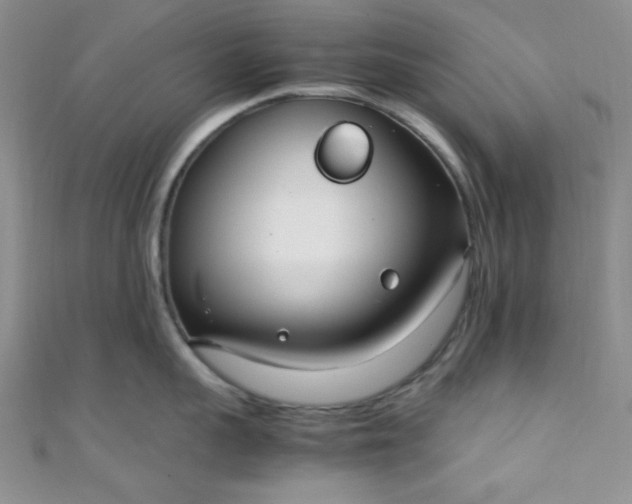 X0000108480959200904171608