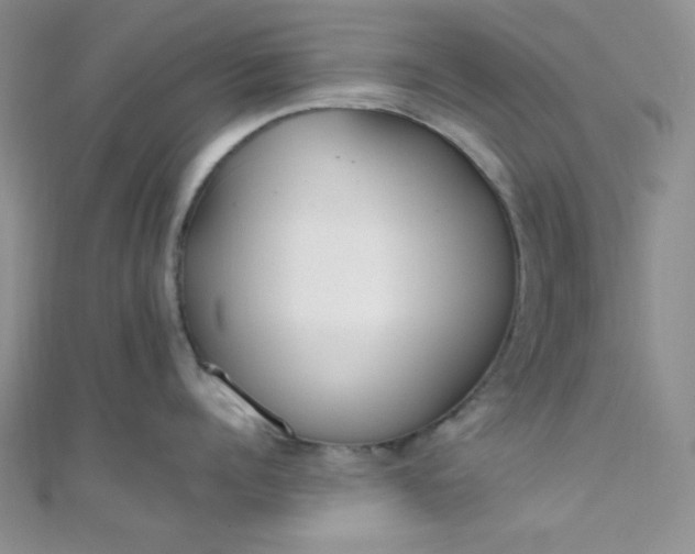 X0000108480960200904171608